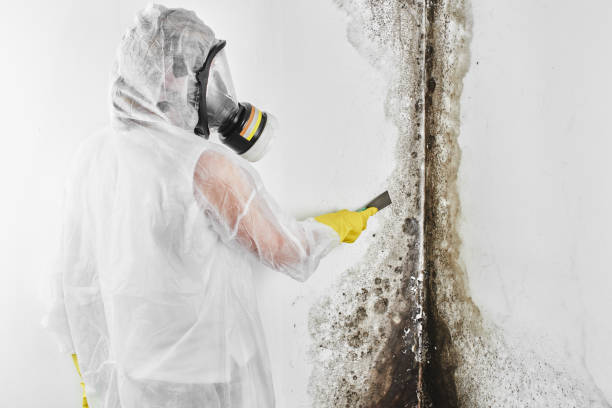 Water Damage Restoration in Pendleton, SC