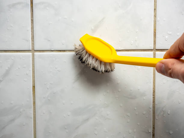 Best Attic Mold Removal  in Pendleton, SC
