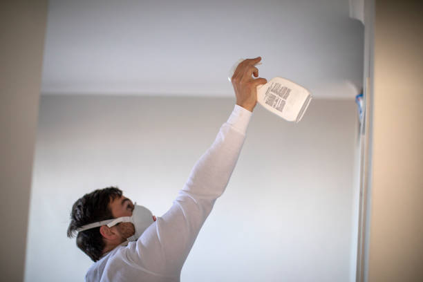Best Same-Day Mold Removal  in Pendleton, SC