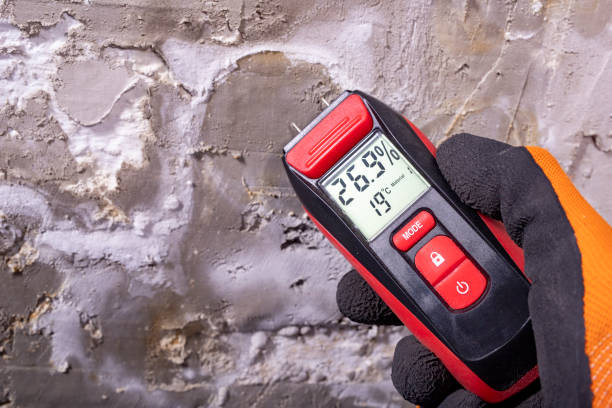 Best Office Mold Removal Services  in Pendleton, SC