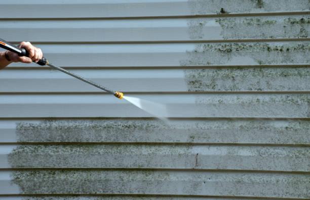 Certified Mold Removal in Pendleton, SC